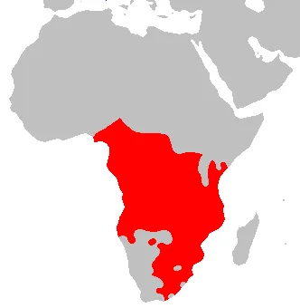Bantu Migration Era — Bantu area